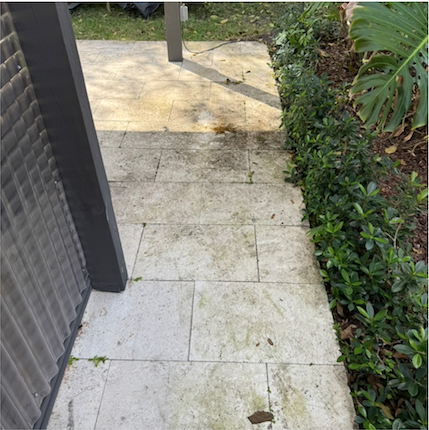 Before pressure washing, South Florida project 1