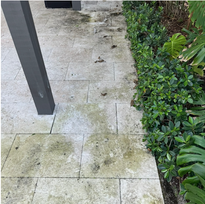 Before pressure washing, South Florida project 2