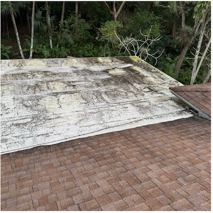 Before pressure washing, South Florida project 5