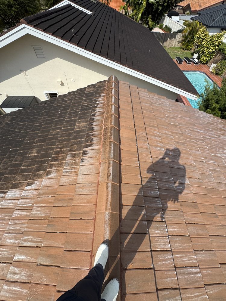 Pinto's Pressure Washing roof soft washing work in progress